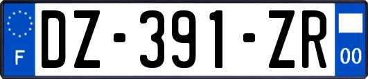 DZ-391-ZR