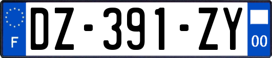 DZ-391-ZY