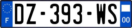 DZ-393-WS