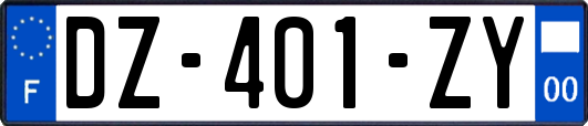 DZ-401-ZY