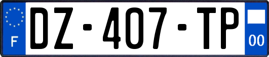 DZ-407-TP