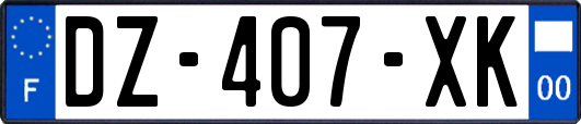 DZ-407-XK