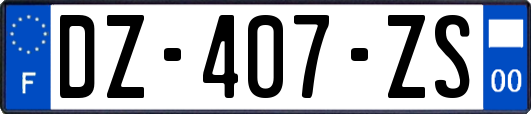 DZ-407-ZS