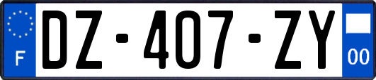 DZ-407-ZY