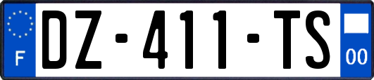 DZ-411-TS