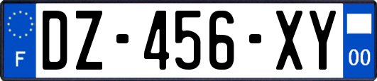 DZ-456-XY