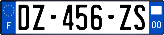 DZ-456-ZS