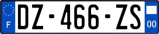 DZ-466-ZS