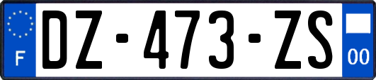 DZ-473-ZS