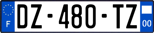 DZ-480-TZ