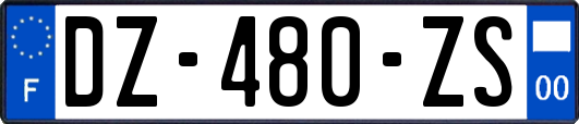 DZ-480-ZS