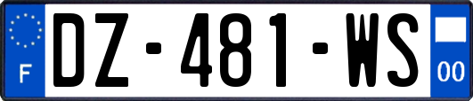 DZ-481-WS