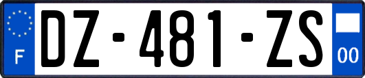 DZ-481-ZS