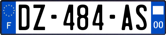DZ-484-AS