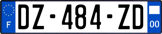 DZ-484-ZD