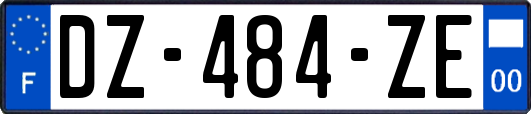 DZ-484-ZE