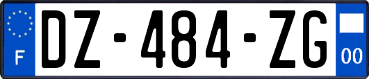 DZ-484-ZG