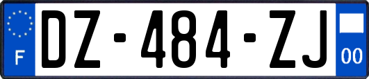 DZ-484-ZJ