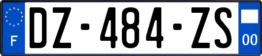 DZ-484-ZS