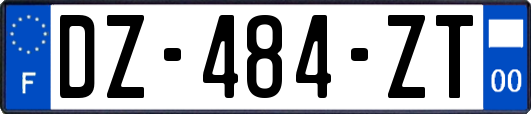 DZ-484-ZT