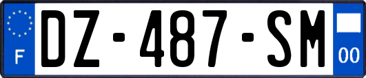 DZ-487-SM