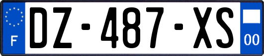 DZ-487-XS