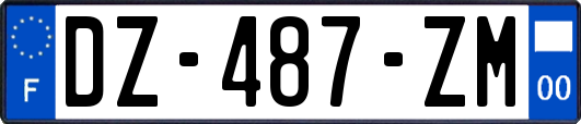 DZ-487-ZM