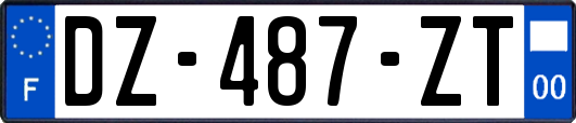 DZ-487-ZT