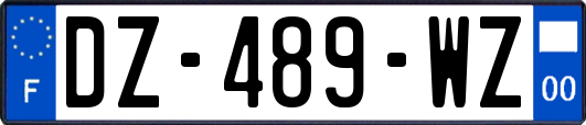 DZ-489-WZ