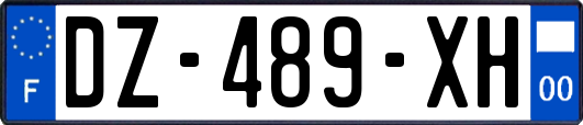 DZ-489-XH