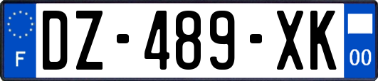 DZ-489-XK