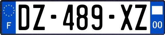 DZ-489-XZ