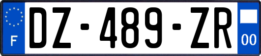 DZ-489-ZR