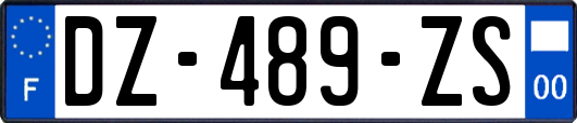 DZ-489-ZS