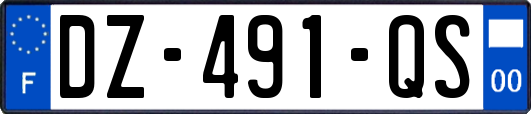 DZ-491-QS