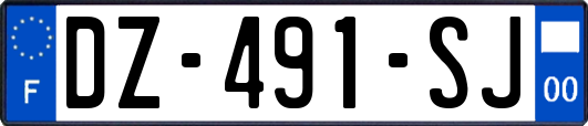 DZ-491-SJ