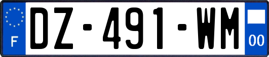 DZ-491-WM