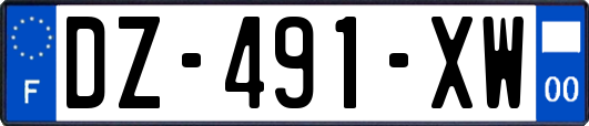 DZ-491-XW