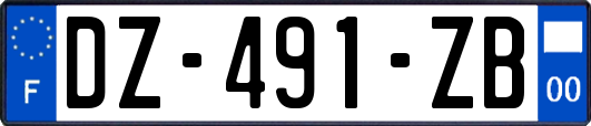 DZ-491-ZB