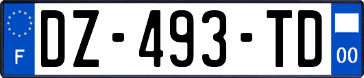 DZ-493-TD