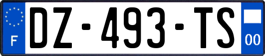 DZ-493-TS