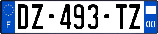 DZ-493-TZ