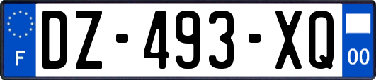 DZ-493-XQ