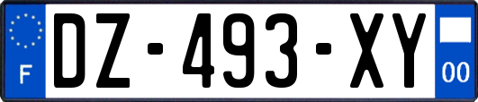 DZ-493-XY