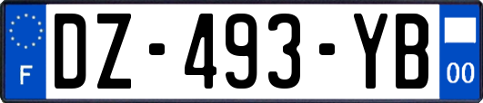 DZ-493-YB