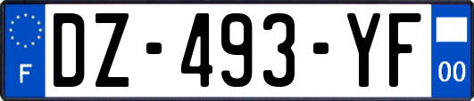 DZ-493-YF