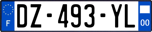 DZ-493-YL