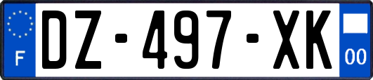 DZ-497-XK