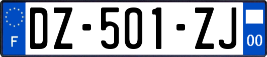 DZ-501-ZJ