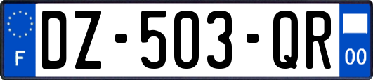 DZ-503-QR